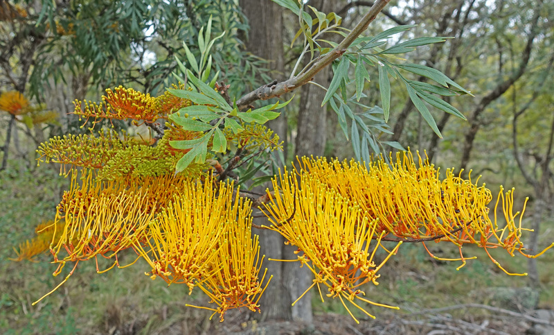DSC06798_edited-4.jpg