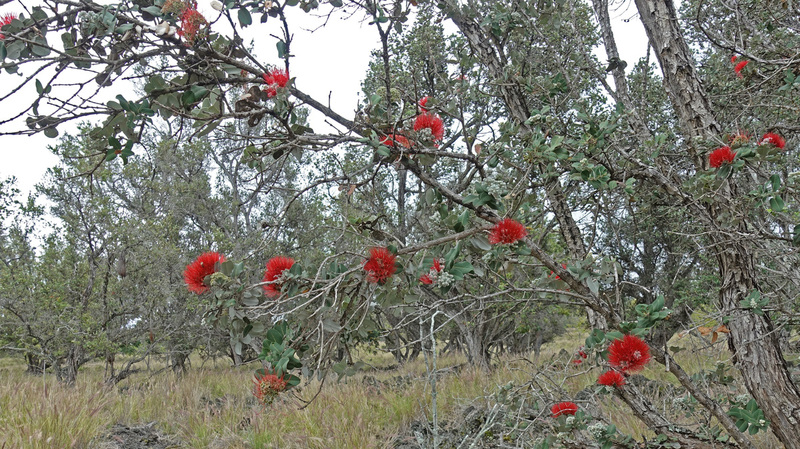 DSC06800_edited-4.jpg