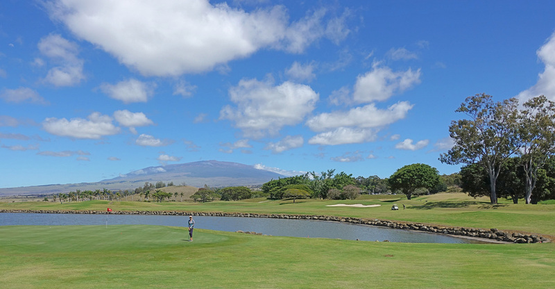 DSC06823_edited-4.jpg :: Mauna Kea in the background.
