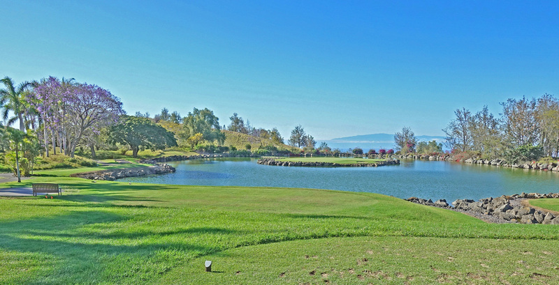 DSC06829_edited-4a.jpg