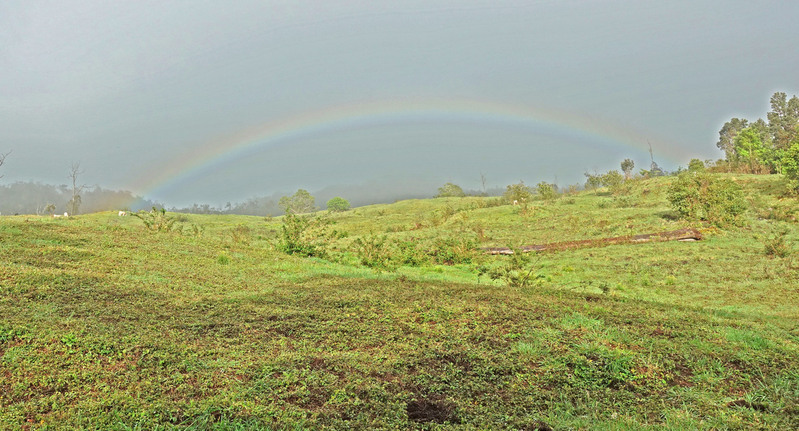DSC06860_edited-4.jpg