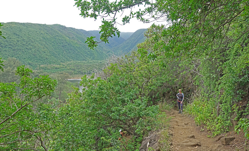 DSC06872_edited-4.jpg