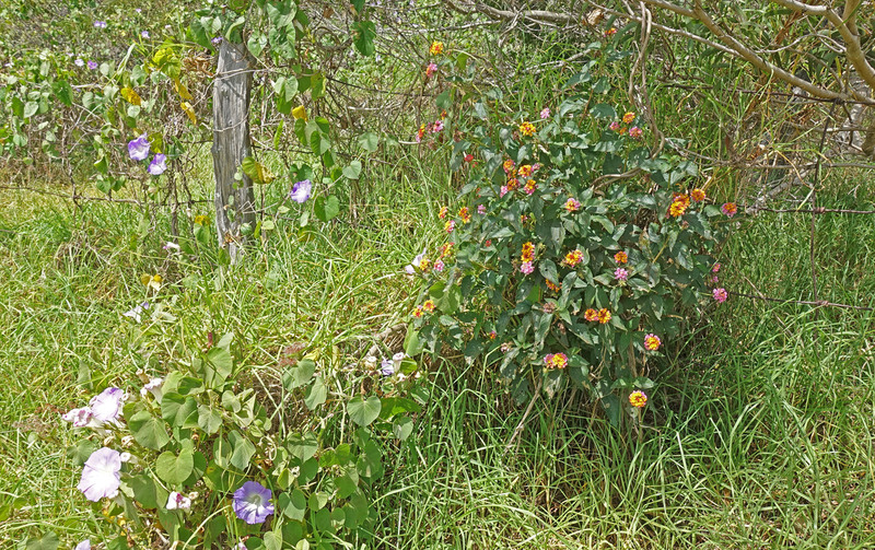 DSC06887_edited-4.jpg