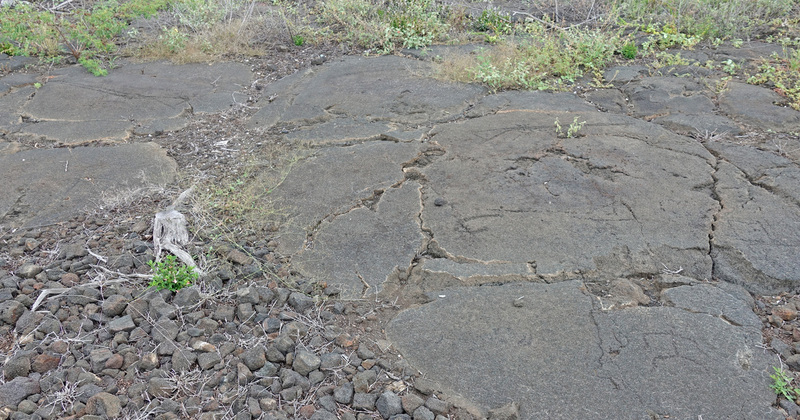 DSC07079_edited-4.jpg
