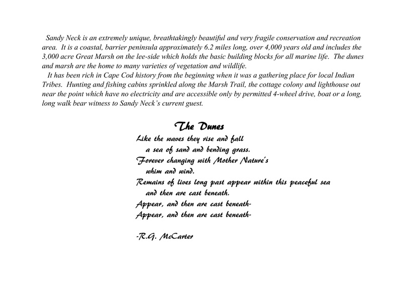 E2_Sandy Neck_Description-1a.jpg