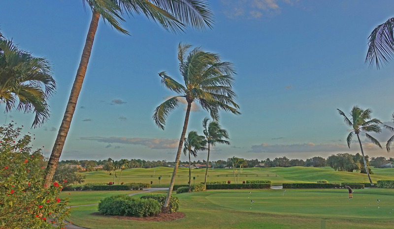 FL_Lely_Flamingo_edited-2(1).jpg