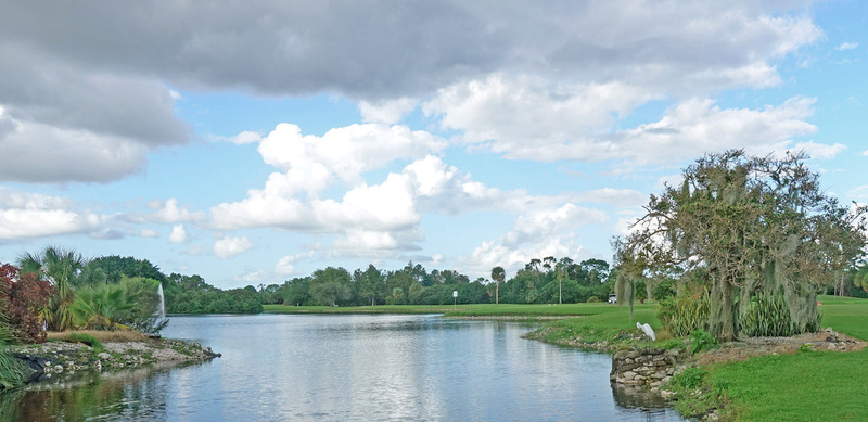 FL_Myakka Pines-5_edited.jpg