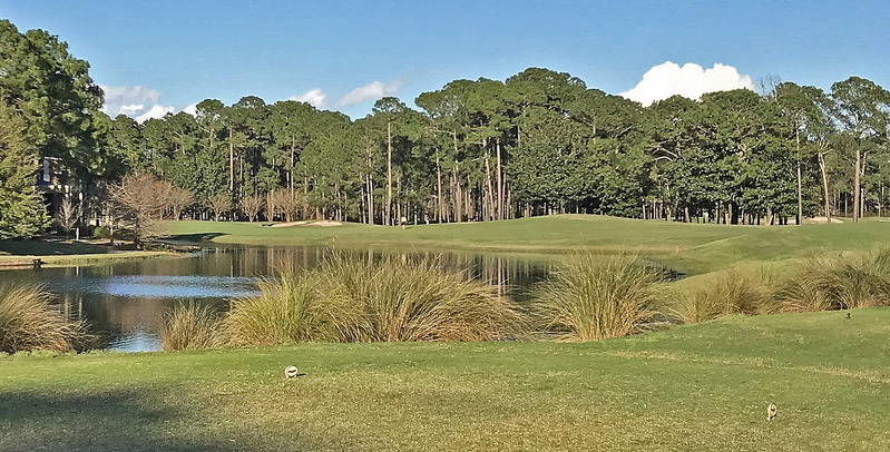 FL_Sandestin_Raven-2a_edited.jpg