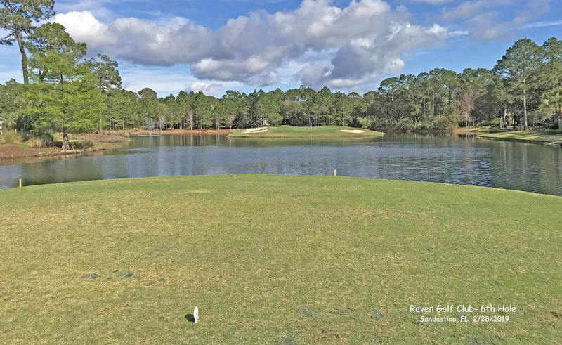 FL_Sandestin_Raven-3_edited.jpg