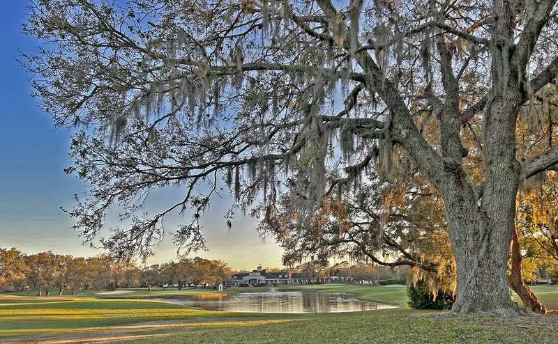 IMG_6663_edited(1).jpg