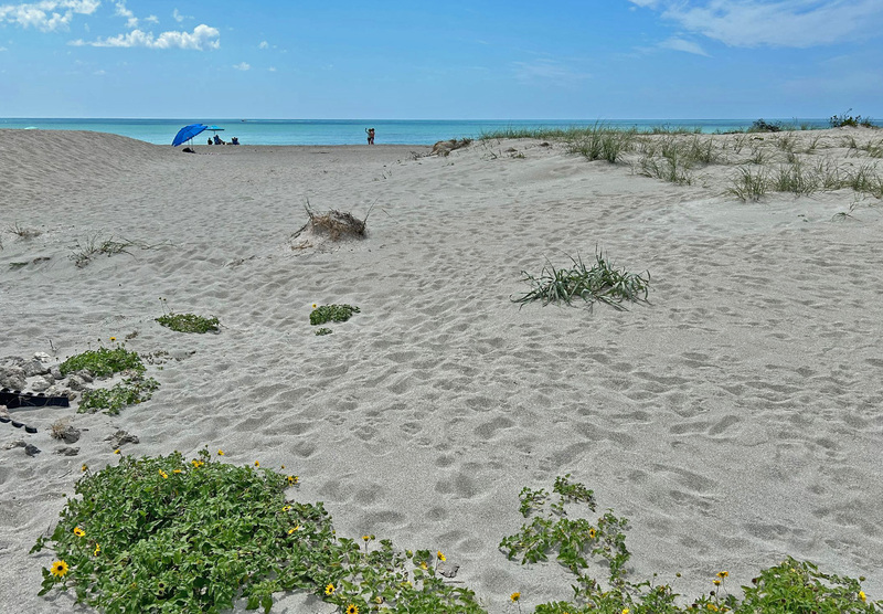 IMG_7200_edited.jpg