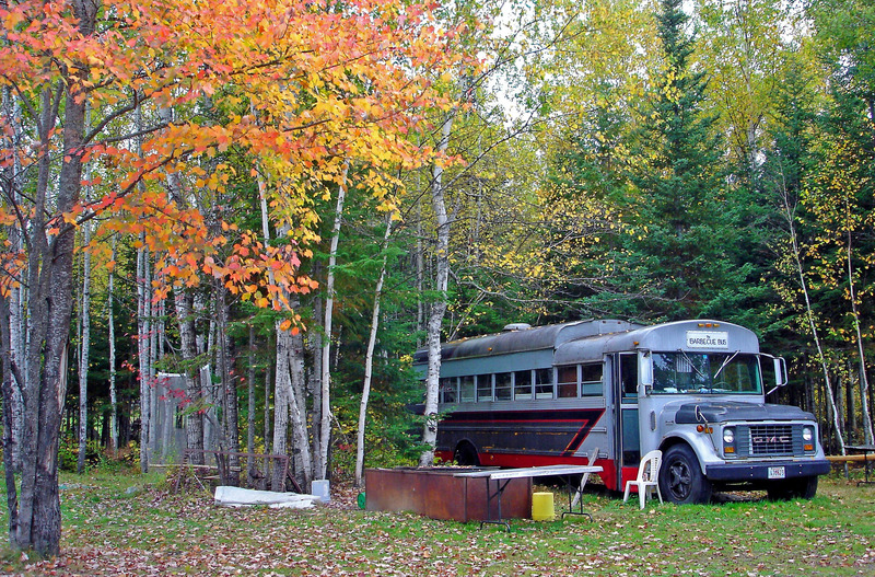 ME_Moose Meadows-1_edited.jpg