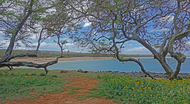 Molokai-011f.jpg