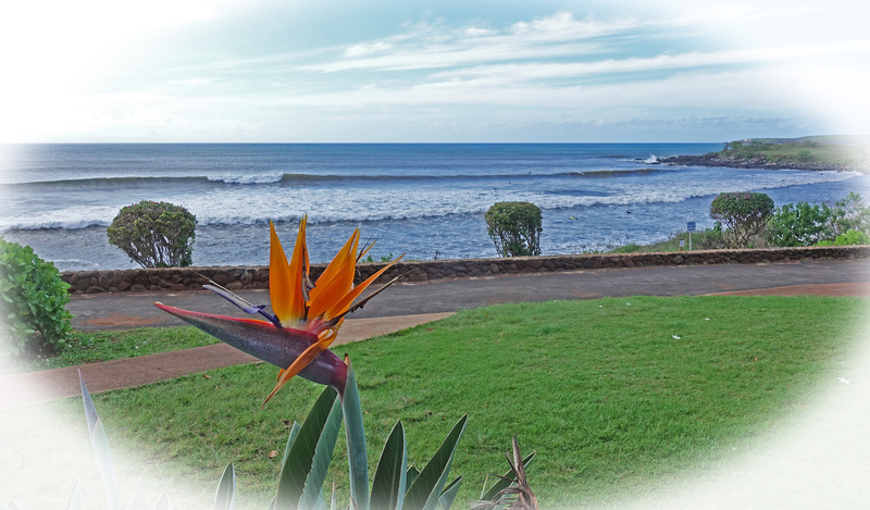 Molokai-011iz.jpg