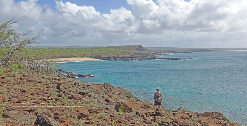 Molokai-011s_edited-2.jpg