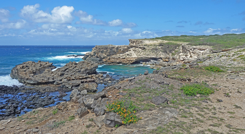 Molokai-011ua.jpg