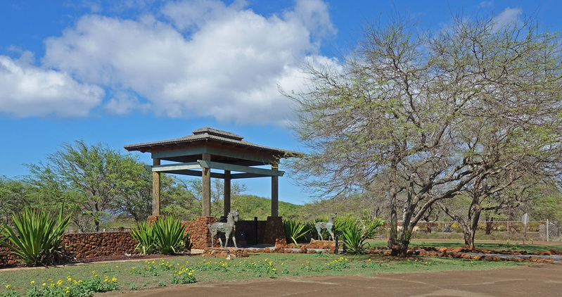Molokai-026.jpg