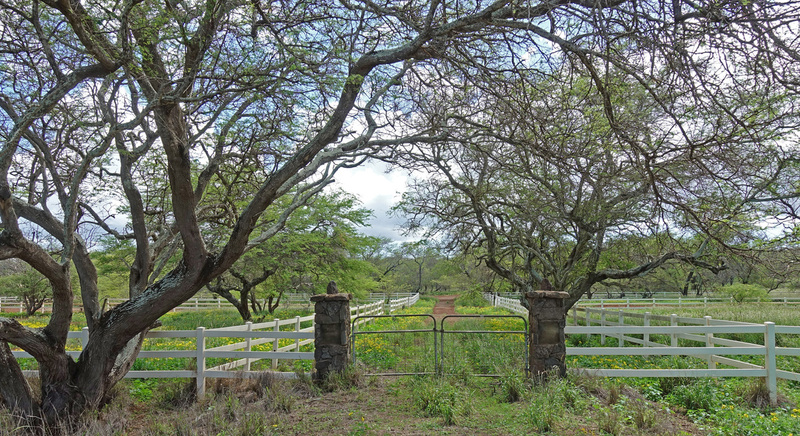 Molokai-033a.jpg