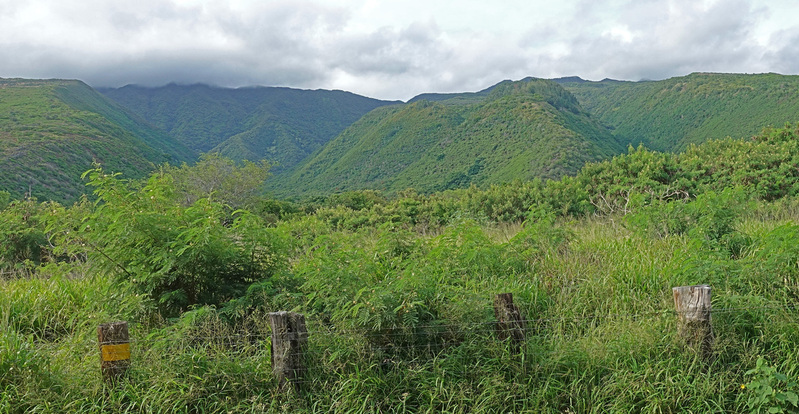 Molokai-034.jpg