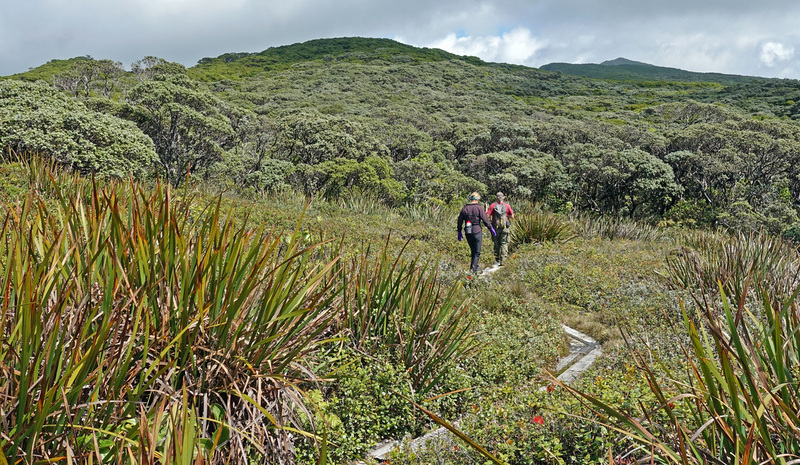 Molokai-049.jpg