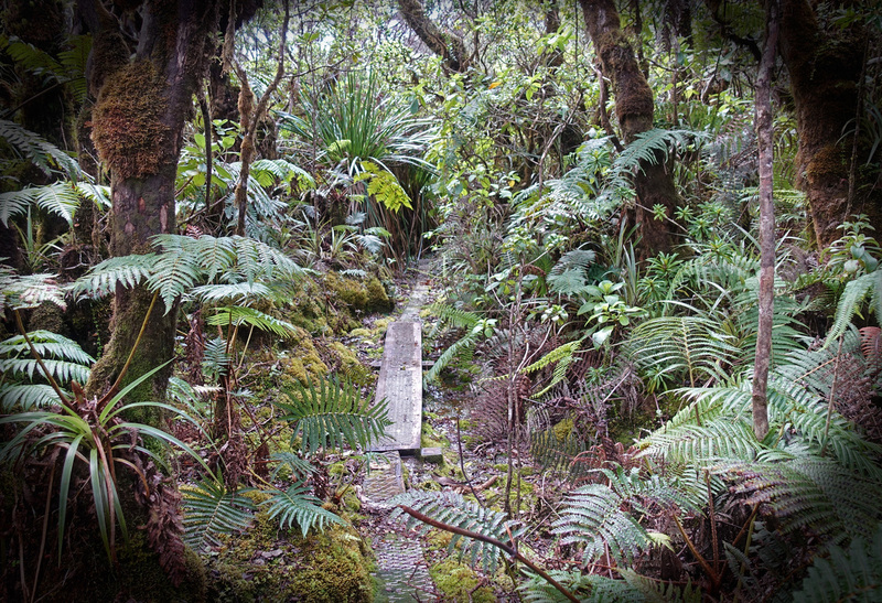 Molokai-051.jpg