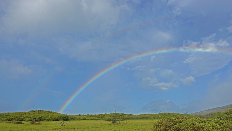 Molokai-053a.jpg