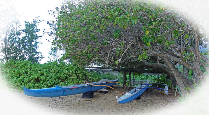 Molokai-054.jpg