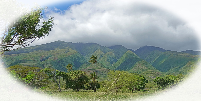 Molokai-057a.jpg