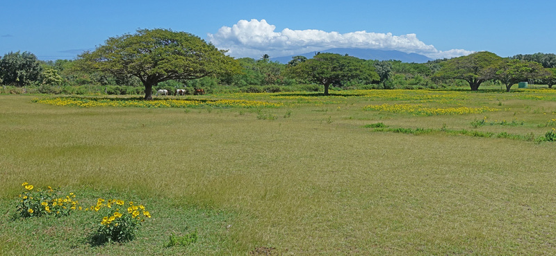 Molokai-058.jpg