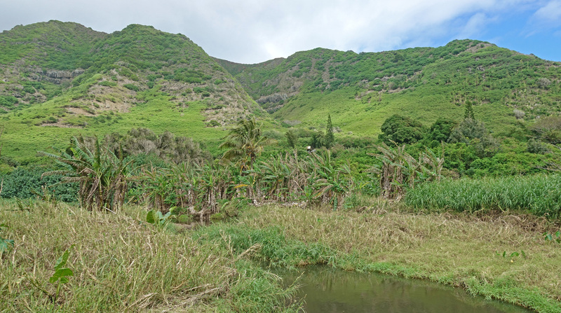 Molokai-071a.jpg