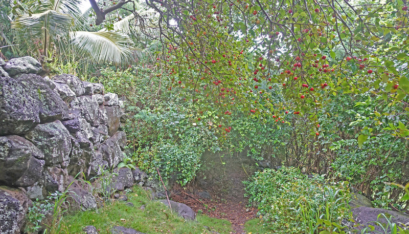 Molokai-072c.jpg