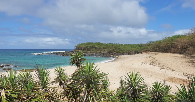 Molokai-086ab.jpg