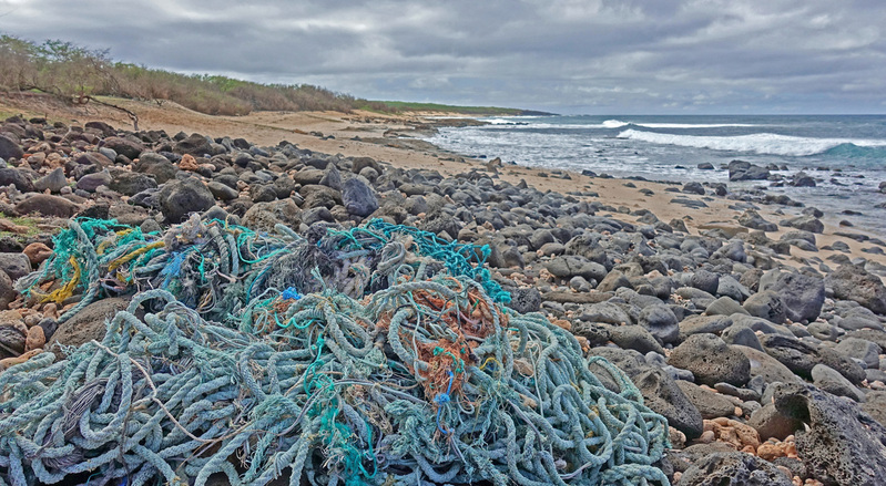 Molokai-086g.jpg