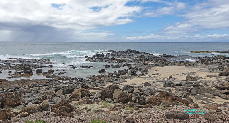 Molokai-086h.jpg