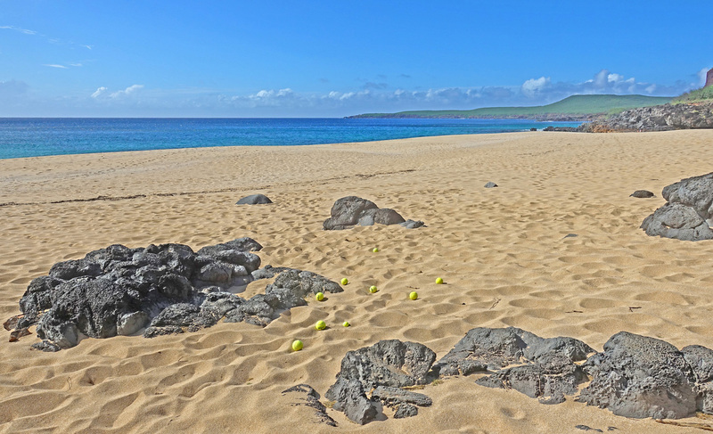 Molokai-094b.jpg