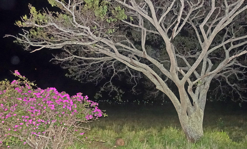 Molokai-099b.jpg