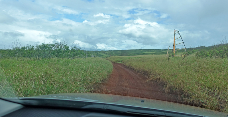 Molokai-100a_edited.jpg