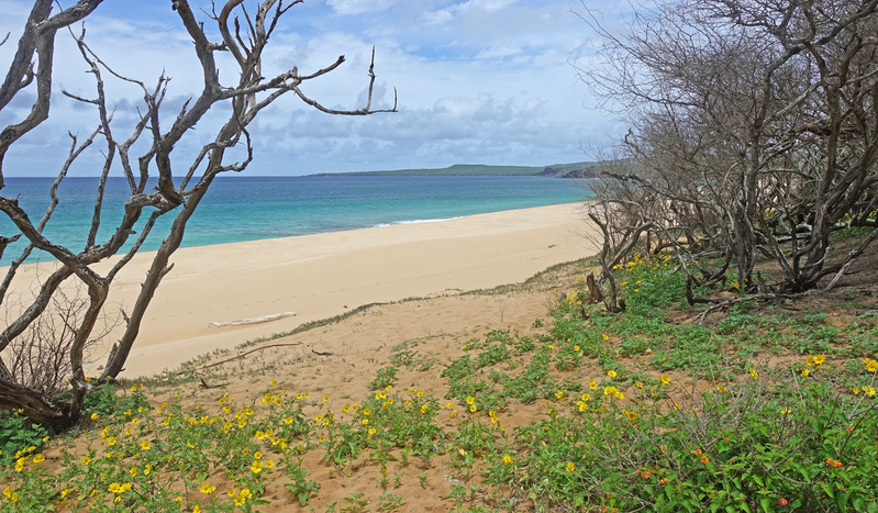 Molokai-103ac.jpg