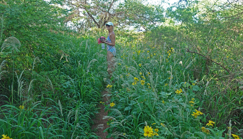 Molokai-103d.jpg