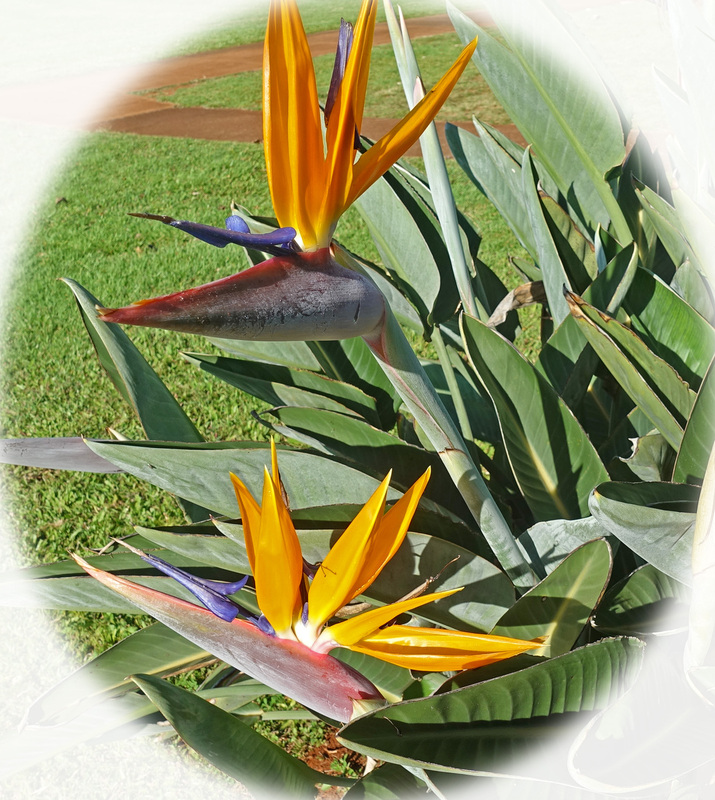 Molokai-103ea.jpg
