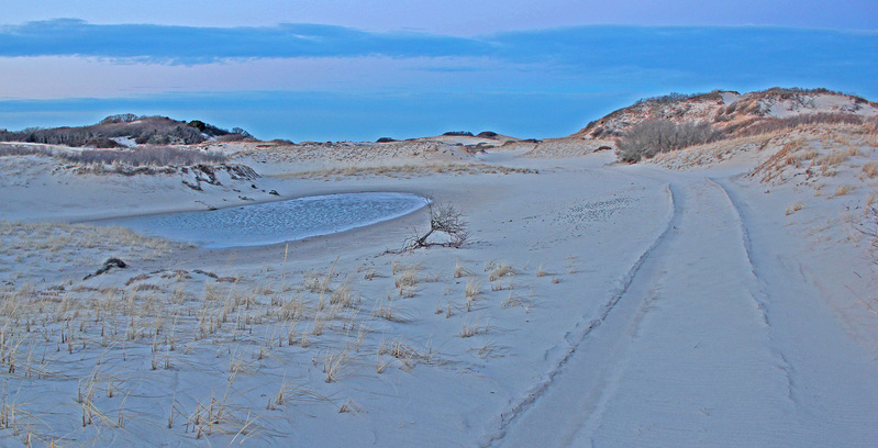 SN-100_IMG_3828_edited-6.jpg