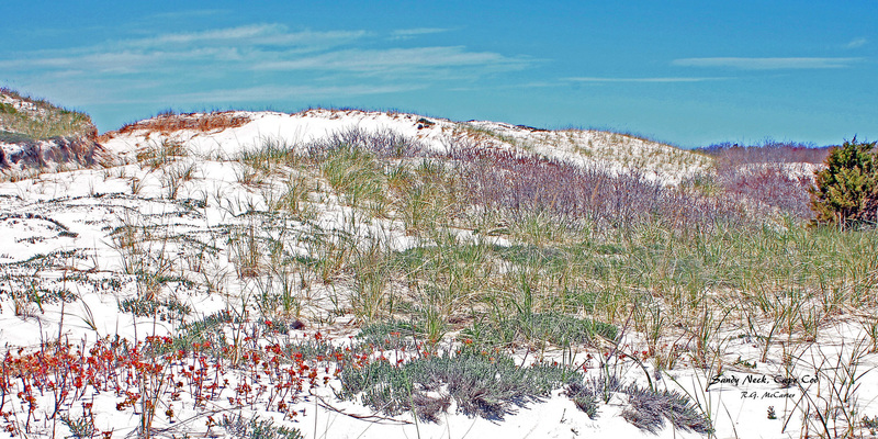 SN-202b_Sandy Neck Metal-bb-edited.jpg