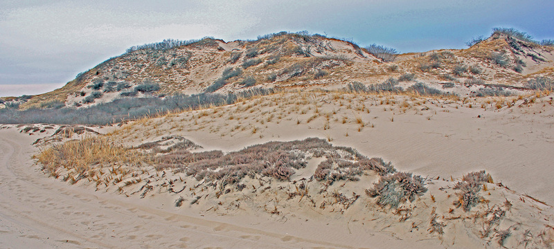 SN-203_edited.jpg