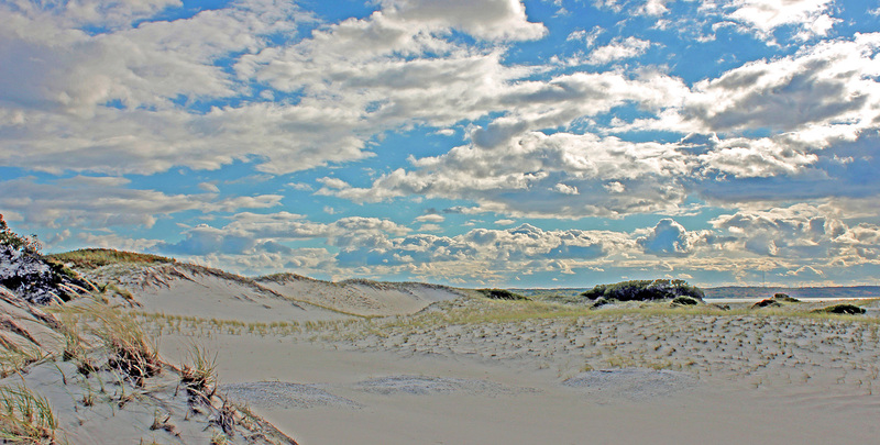 SN-415_IMG_4365_edited-9.jpg