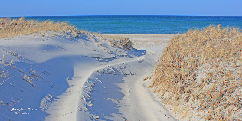 SN-417_Sandy Neck Metal_edited-1.jpg