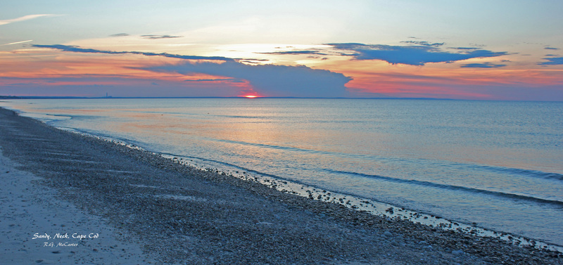 SN-650d_edited.jpg
