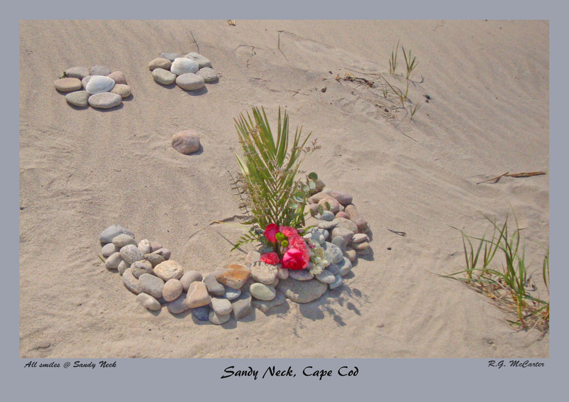 Sandy Neck_Smile-2b.jpg