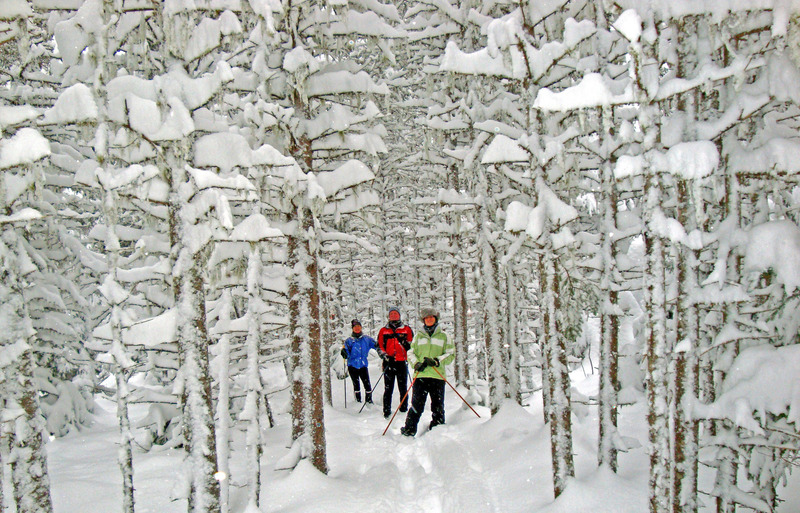 Sugarloaf_113_edited-1.jpg