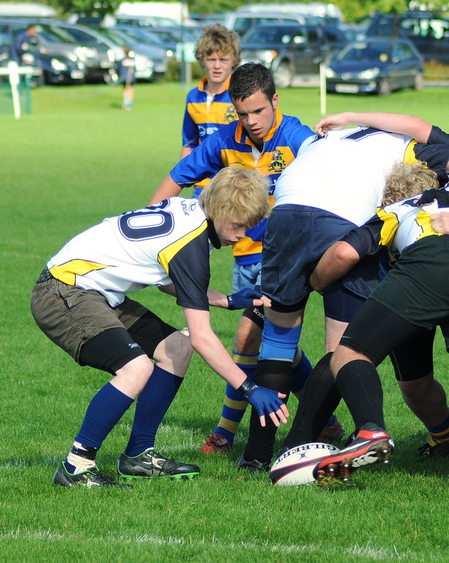 bB_U13-U16_02_LexusFestival.jpg :: Images from the Central and Eastern region Lexus Rugby Festival held at Old Albanians RFC Sept 08