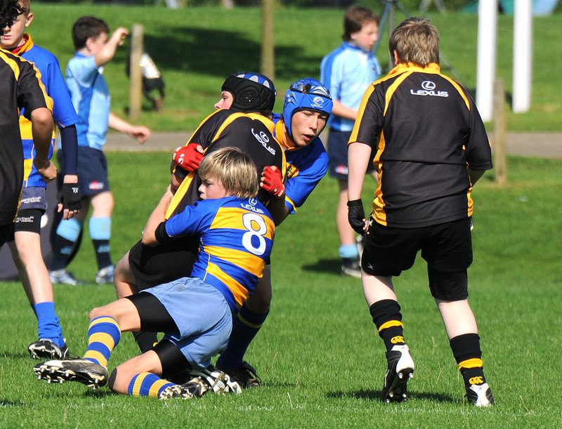 bB_U13-U16_19_LexusFestival.jpg :: Images from the Central and Eastern region Lexus Rugby Festival held at Old Albanians RFC Sept 08